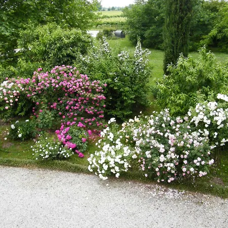 Il Nido Di Rondine Apartament *