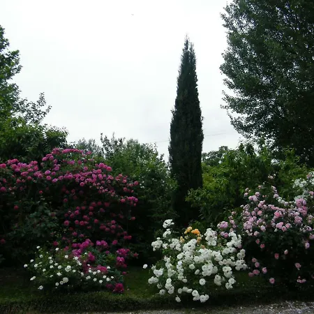 Il Nido Di Rondine *