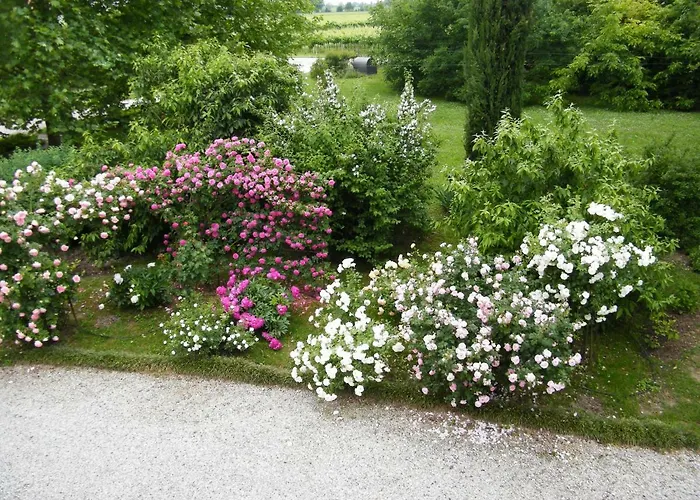 Il Nido Di Rondine Lejlighed *