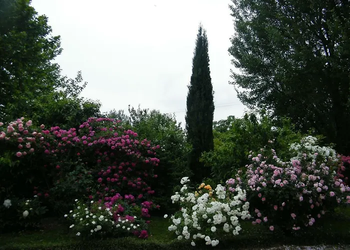 Il Nido Di Rondine *